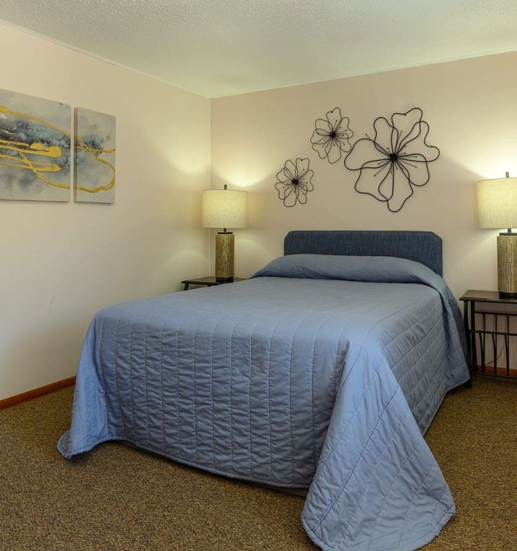 1 bed in 1 bedroom suite at Welsh's Motel in Wall, SD