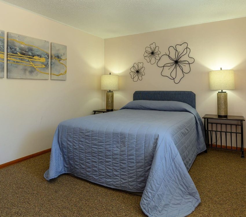 1 bed in 1 bedroom suite at Welsh's Motel in Wall, SD
